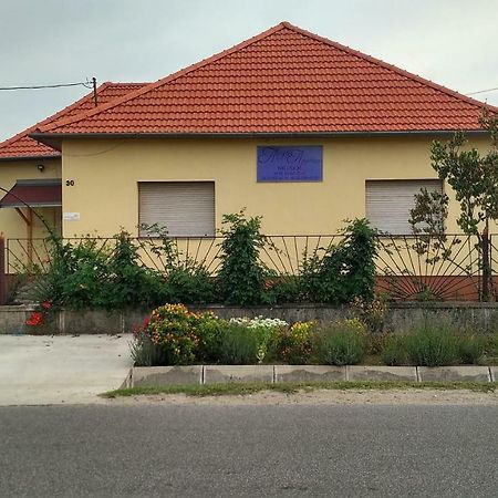 Abigel Apartman Morahalom Exterior photo